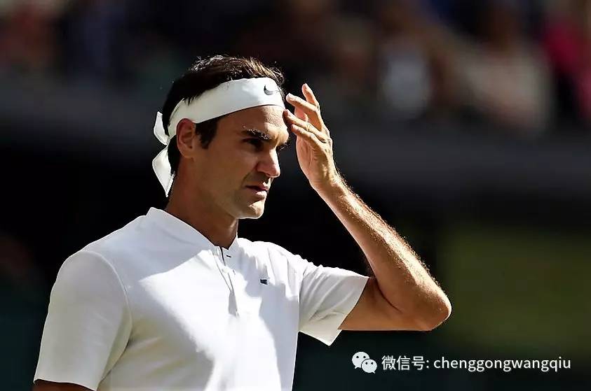  温网最新战况最新消息 